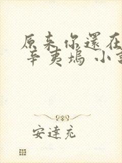 原来你还在这里 辛夷坞 小说