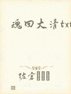 魂回大清txt