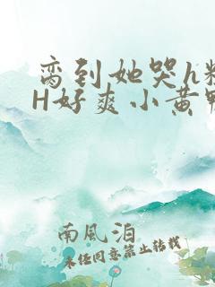 脔到她哭h粗话H好爽小黄鸭视频