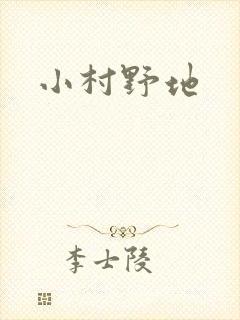 小村野地