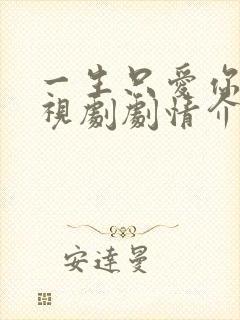 一生只爱你 电视剧剧情介绍