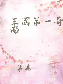 三国第一奇兵袁尚