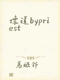 坏道bypriest