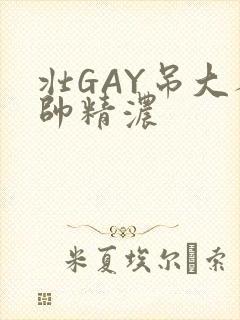 壮GAY吊大人帅精浓
