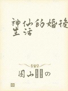 神仙的婚后都市生活