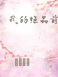 我的绝品前妻
