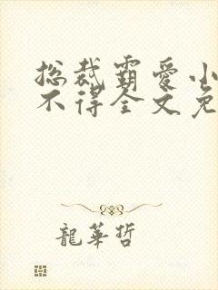 总裁霸爱小妻惹不得全文免费阅读笔趣阁