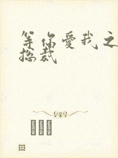 等你爱我之冰山总裁