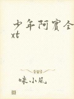 少年阿宾全集txt