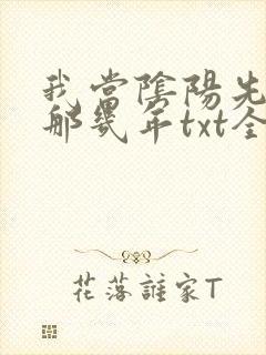 我当阴阳先生的那几年txt全集下载