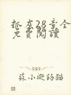 抓灰28章全部免费阅读