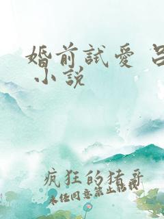 婚前试爱 吕颜 小说
