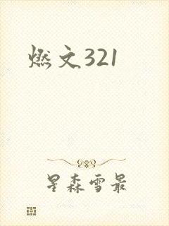 燃文321