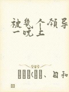 被几个领导玩弄一晚上