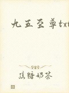九五至尊txt