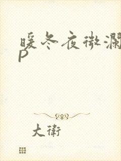 暖冬夜微澜VIP