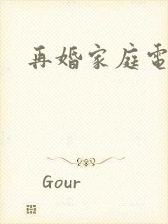 再婚家庭电视剧