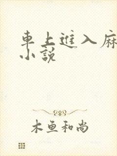 车上进入麻麻的小说