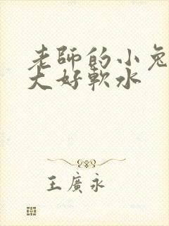 老师的小兔子好大好软水