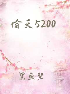 偷天5200