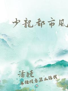 少龙都市风流行