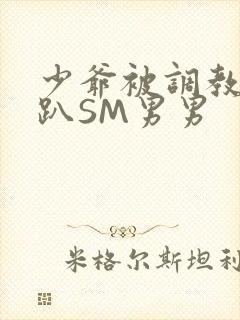 少爷被调教室跪趴SM男男