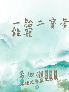 一胎二宝爹地超能宠