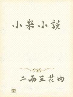 小米小说