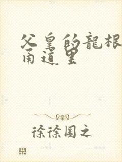 父皇的龙根在我甬道里