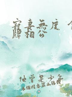 宠妻无度  金牌相公