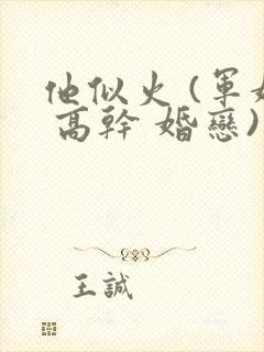 他似火 (军婚 高干 婚恋)