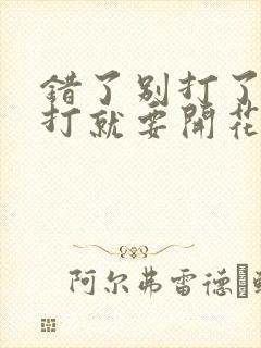 错了别打了 再打就要开花了