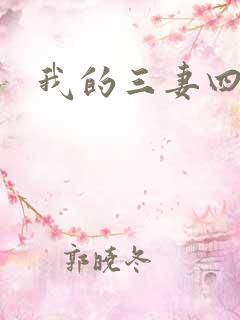 我的三妻四妾