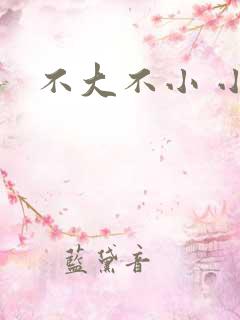 不大不小 小说