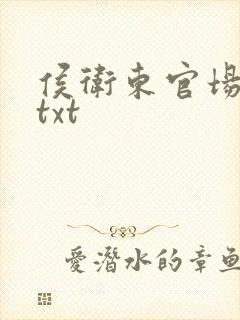 侯卫东官场笔记txt