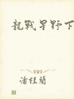 龙战星野下载