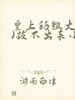 皇上的粗大(h)拔不出来小说