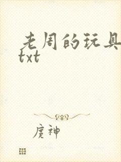 老周的玩具日记txt