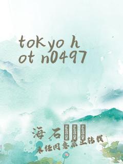 tokyo hot n0497