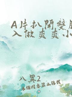 A片扒开双腿进入做爽爽小说