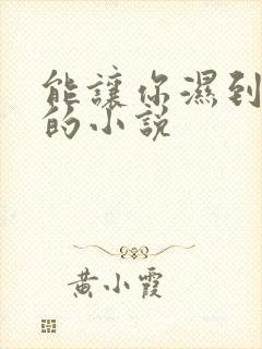 能让你湿到不行的小说