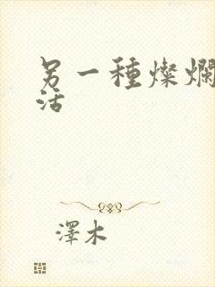 另一种灿烂的生活