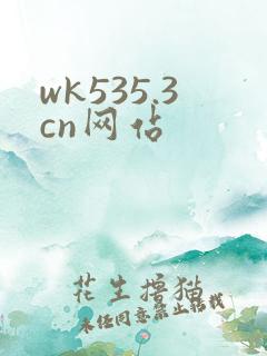 wk535.3cn网站