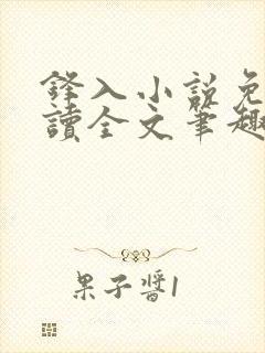 锋入小说免费阅读全文笔趣阁