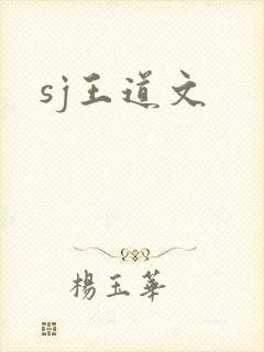 sj王道文
