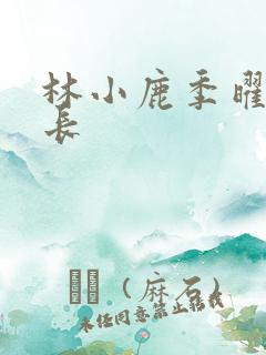 林小鹿季曜珉机长