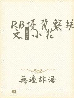 RB优质系统全文寀小花