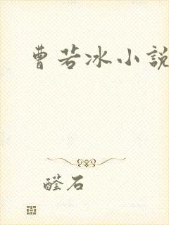 曹若冰小说