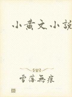 小黄文小说