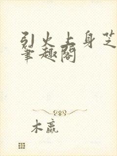 引火上身芝麻糖笔趣阁